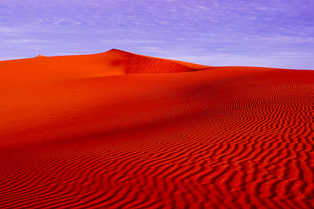 Simpson Desert Dune stock photo
