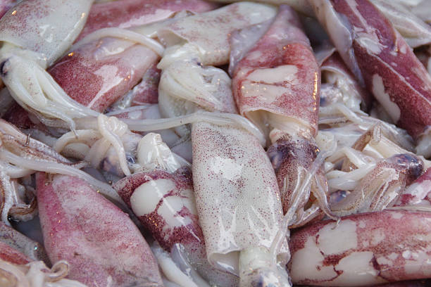 istock Closeup Fresh Squid Sold in Local Market 497600999