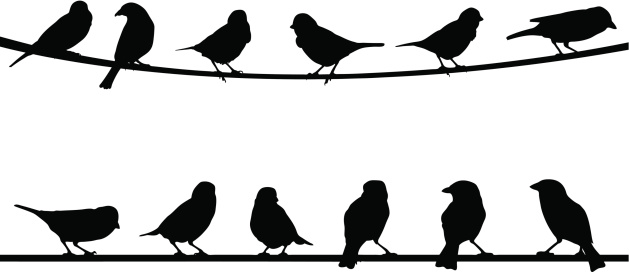 silhouettes of birds on wire