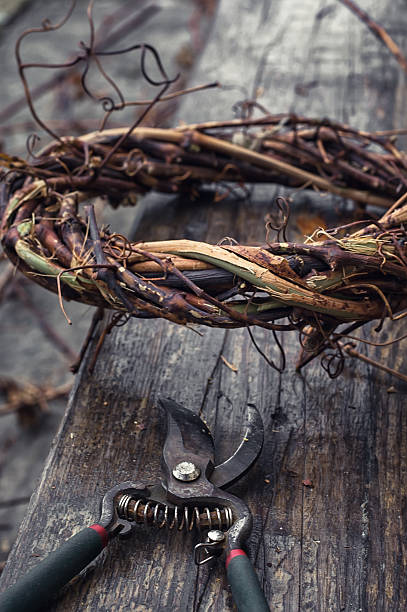 istock Weaving wreath of vines 497602794