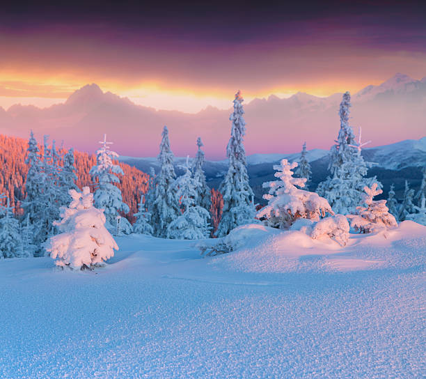 istock Colorful winter scene in the hight mountains. 497603058
