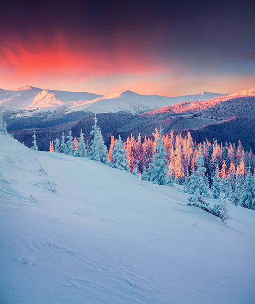 colorida escena de invierno en las montañas carpathian. - winter sunrise mountain snow fotografías e imágenes de stock