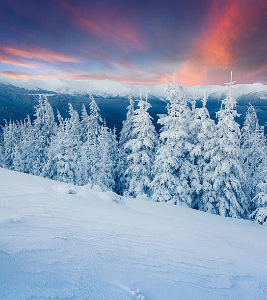 istock Colorful winter scene in the Carpathian mountains. 497603244