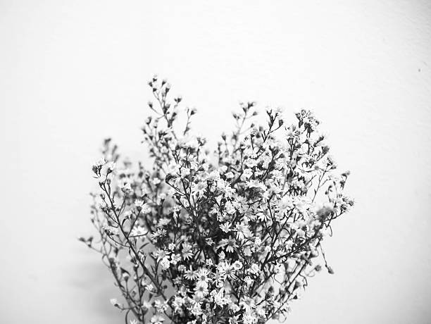 istock beautiful vintage flower 497604504