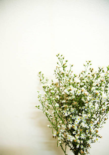 istock beautiful vintage flower 497605574