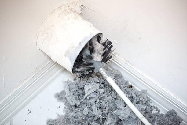 Lint being removed with a brush from a dryer vent Dryer vent in a home being cleaned out with a round brush. There is a large pile of lint that has been removed from the vent on a white tiled floor. The walls and baseboards are white. The lint is gray. Taken with a Canon 5D Mark 3 camera.  rm air duct photos stock pictures, royalty-free photos & images