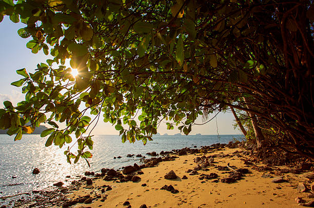 Sunset on Taling Ngam Beach. Koh Samui island. Thailand.