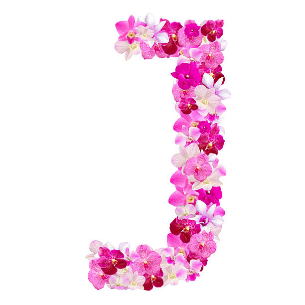 Letter J From Orchid Flowers Isolated On White Stock Photo