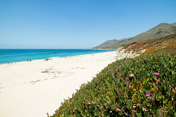 istock Pacific Coast Highway Route 1 scenic summer view, California 497611158