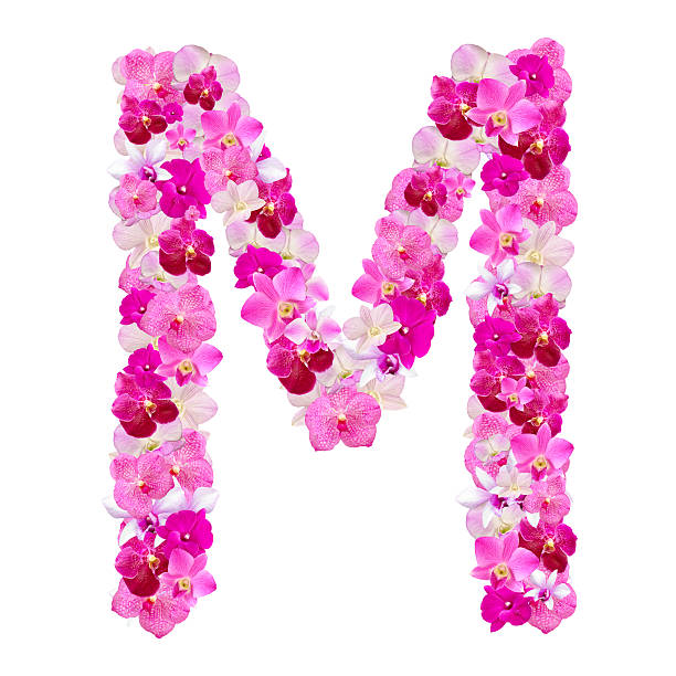 Letter M from orchid flowers isolated on white stock photo