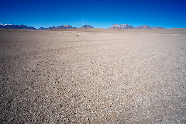 istock Landscape in the Altiplano 497611844