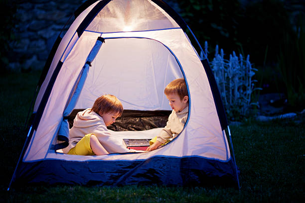 istock Two boys in a tent, playing chess 497612787