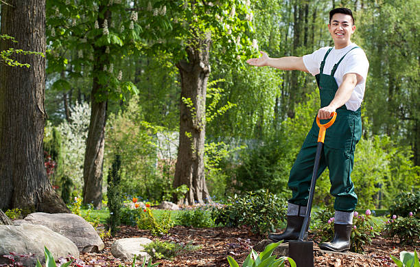 gärtner im garten - gartenarchitekt stock-fotos und bilder