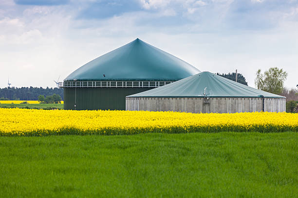 Biogas plans stock photo