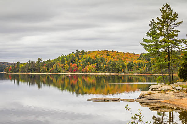 istock Lake in Autumn - Ontario, Canada 497614568