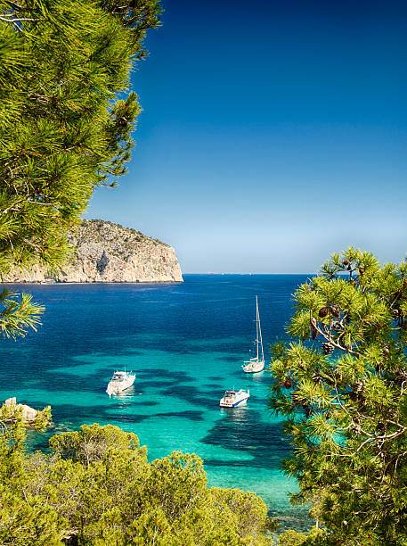 imbarcazioni e blu mare maiorca - majorca foto e immagini stock