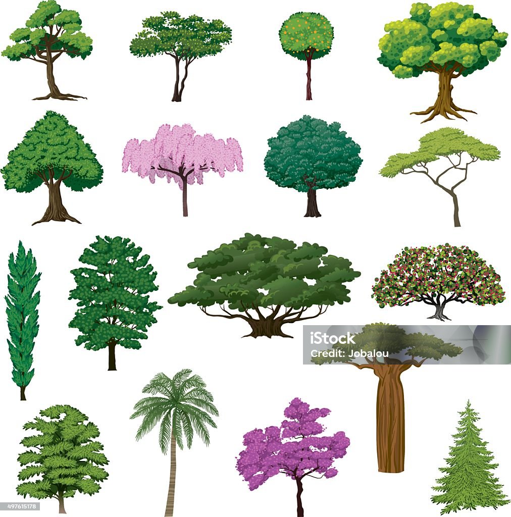 Set Sightly Trees Vector Illustrations with a beautiful set of trees Tree stock vector