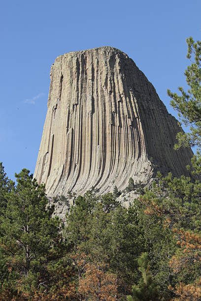 Devils Tower stock photo