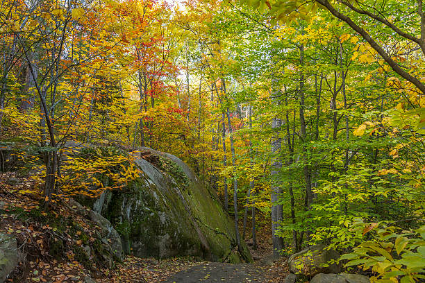istock Large Precambrian Rock Next to a Trail - Ontario, Canada 497615360