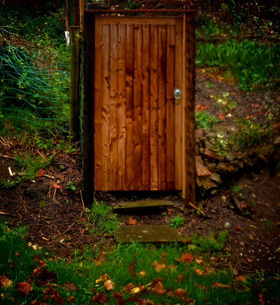 Wooden Door stock photo