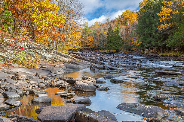 istock River Flowing Through a Forest in Autumn - Ontario, Canada 497615870