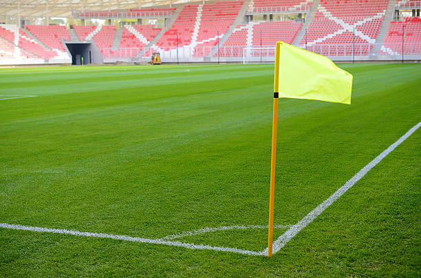 Blue and white corner flag marking a boundary on a soccer field of a staidum full of people . Horizontal shot.