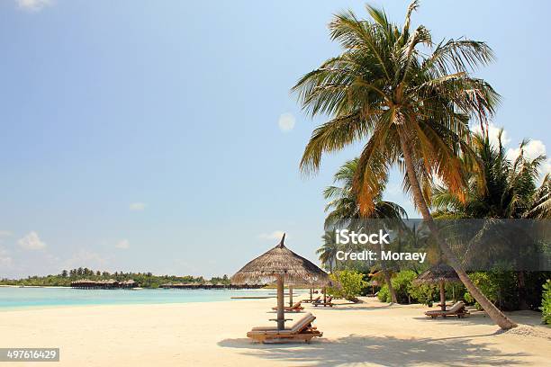Malediwy - zdjęcia stockowe i więcej obrazów Atol - Atol, Bez ludzi, Fotografika