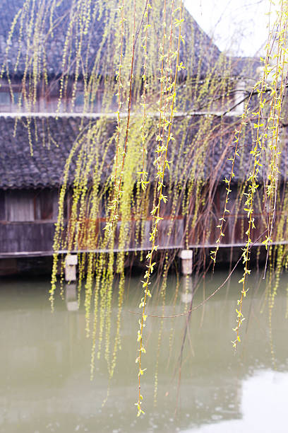 istock China, Jangsu, the Xizha old village 497616565