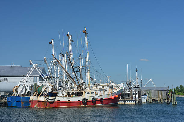 istock Fishing Boats at Bay 497619167