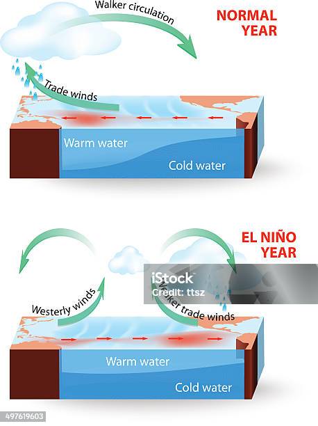 Cross Section Of El Nino Southern Oscillation Stock Illustration - Download Image Now - Tropical Storm, Cross Section, Globe - Navigational Equipment - iStock Cross Section Of El Nino Southern Oscillation Stock Illustration - Download Image Now - Tropical Storm, Cross Section, Globe - Navigational Equipment - iStock