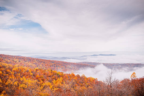 colori autunnali di montagne 3 - blue ridge mountains appalachian mountains appalachian trail skyline drive foto e immagini stock