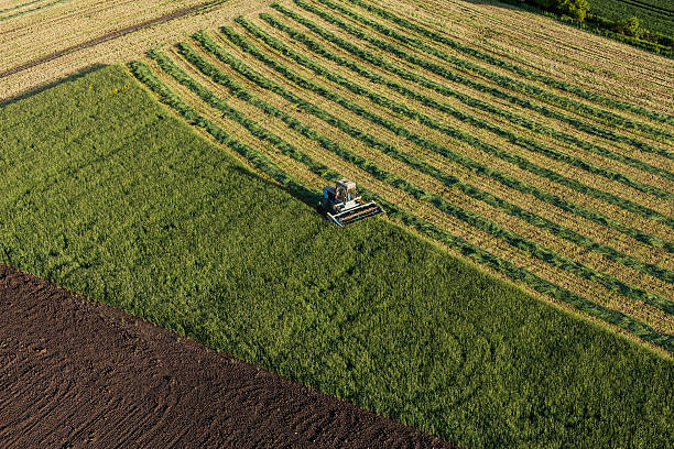 istock aerial view of harvest fields with combine 497627854