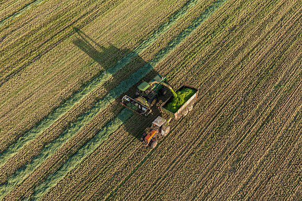 istock aerial view of harvest fields with combine 497628252