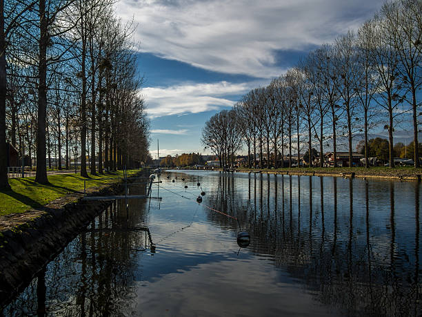 istock Symmetrical trees on a water channel in Autumn 2 497628398