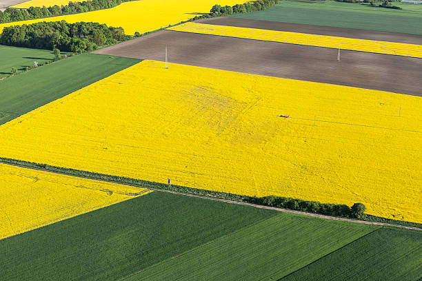 istock aerial view of harvest fields with tractor 497628598
