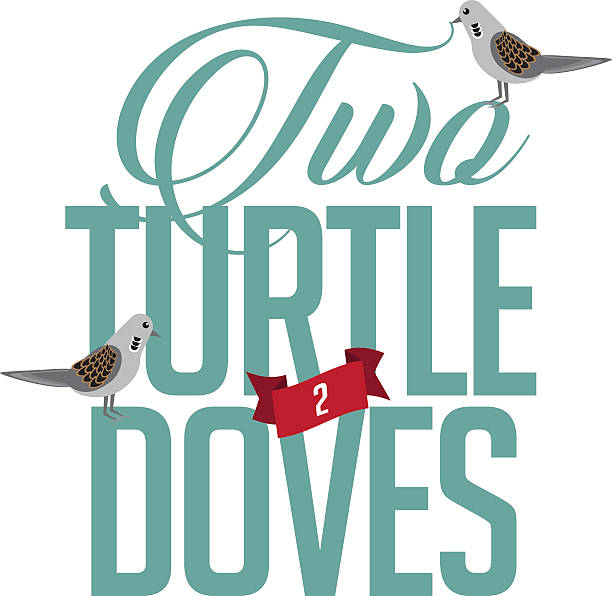 illustrazioni stock, clip art, cartoni animati e icone di tendenza di due turtle doves - the twelve days of christmas