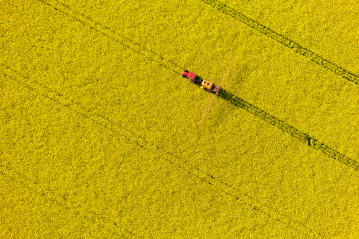 Vista aérea de amarillo de los campos con tractor violación harvest photo