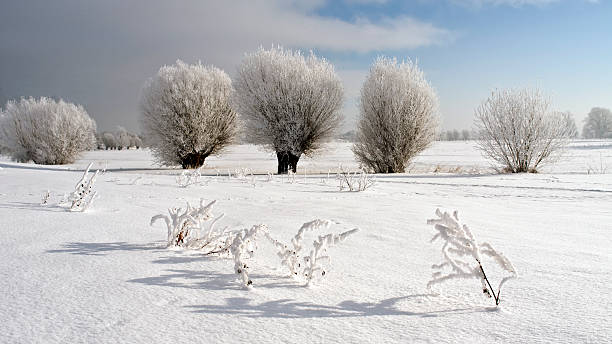 Winter snow landscape stock photo