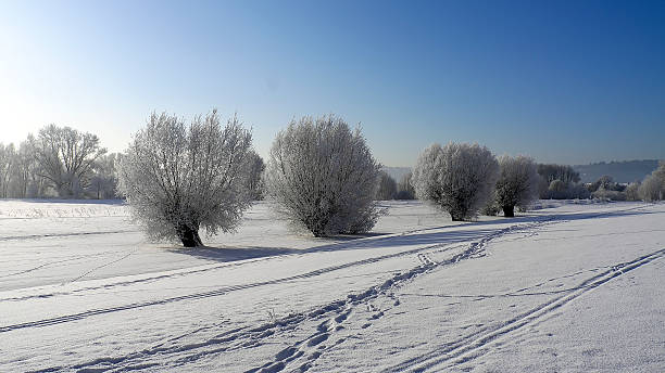 Winter snow landscape stock photo