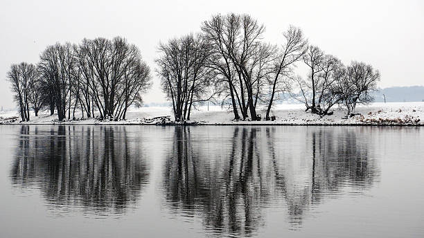 Winter, Tree reflection in  Elbe, Germany stock photo