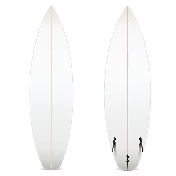 Blank Surfboard Two-sided blank surfboard isolated on white background. Vector illustration. h2o model stock illustrations