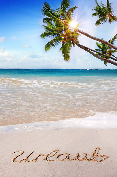 istock Holiday in the Caribbean. 497634537