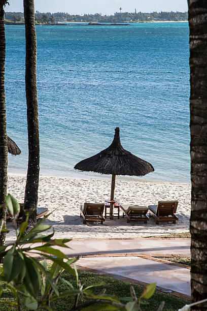 istock beach in the Maldives 497635829