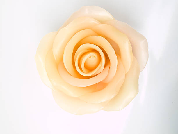istock light pink rose's candle isolated on white background 497636197