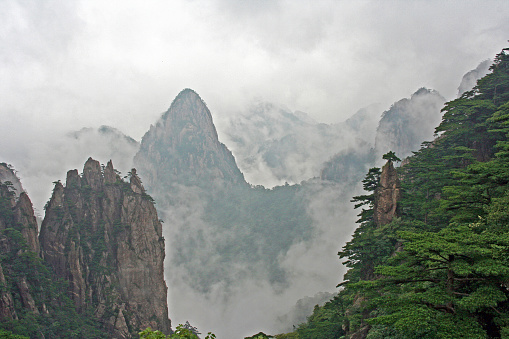 Mang mountain,Chenzhou City,Hunan Province,China.\nThis is a continuous mountain range in South China. It is a national AAAA scenic spot with mild climate, abundant rainfall and extremely rich biodiversity. The most significant advantage of the scenic spot is that the whole process is barrier-free, so that people with limited mobility can reach the summit without getting out of a wheelchair. It is \