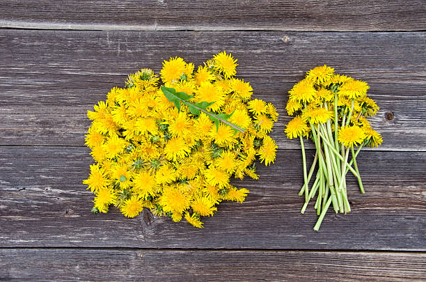 istock spring dandelion flowers on wooden background 497637467