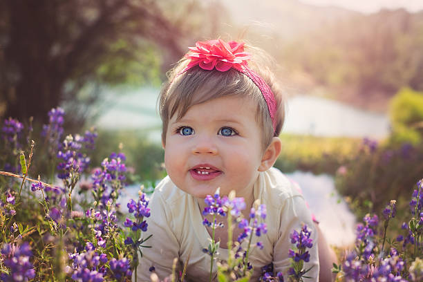 10 month old baby girl crawling through lupine flowers.