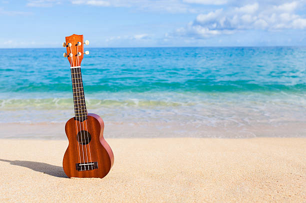 wie man ukulele spielt am strand in hawaii - oahu water sand beach stock-fotos und bilder