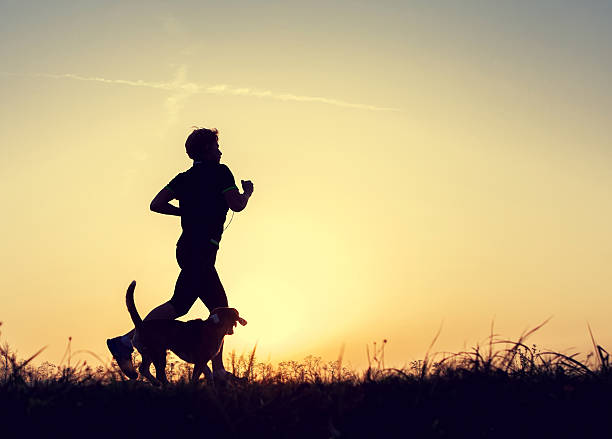 istock Evening jogging walk with a dog silhouettes 497639704