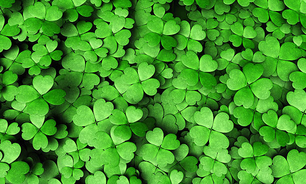 extensión de cuatro hojas clovers - 4leaf fotografías e imágenes de stock